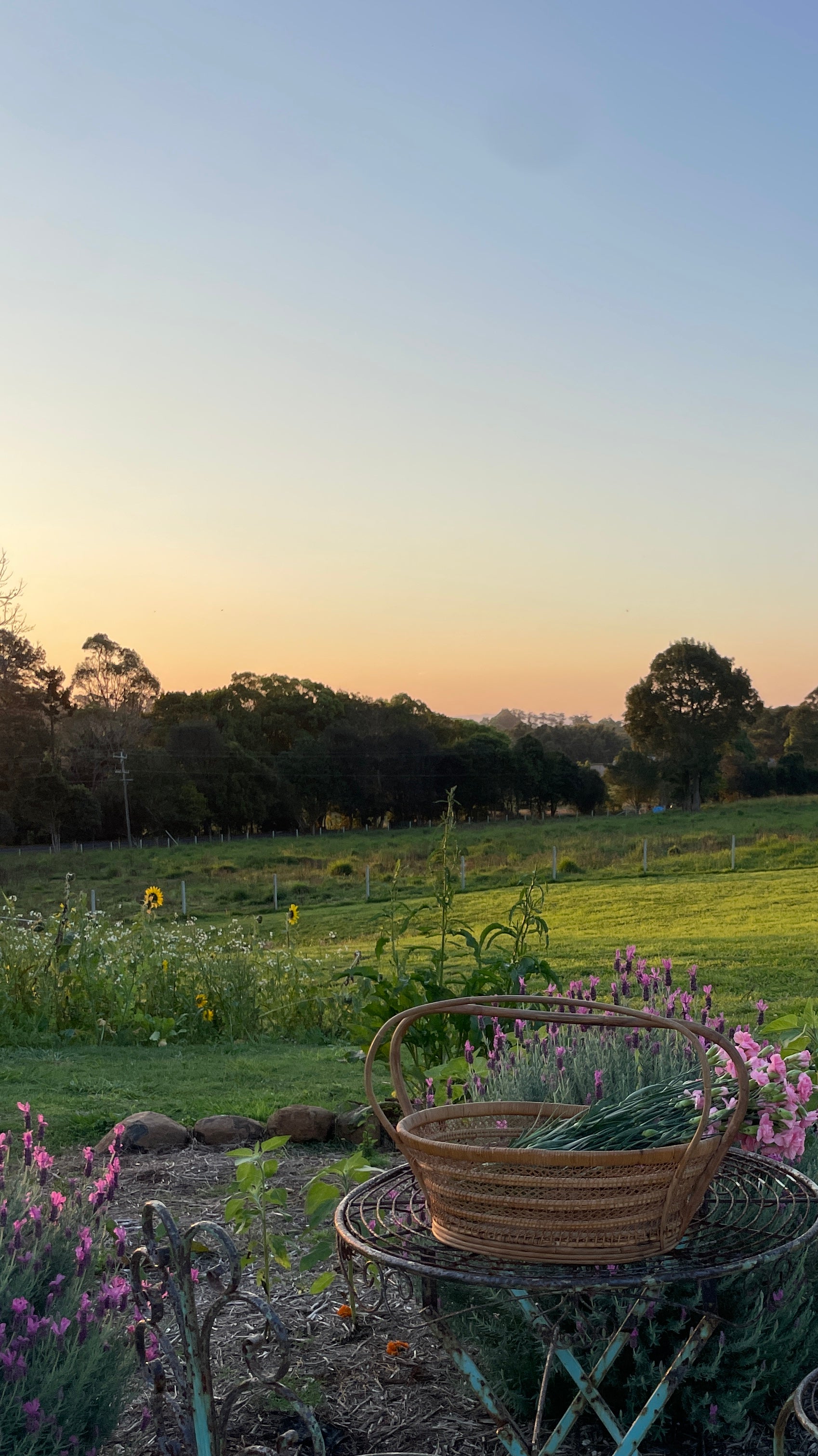 Behind The Scenes of Amelie