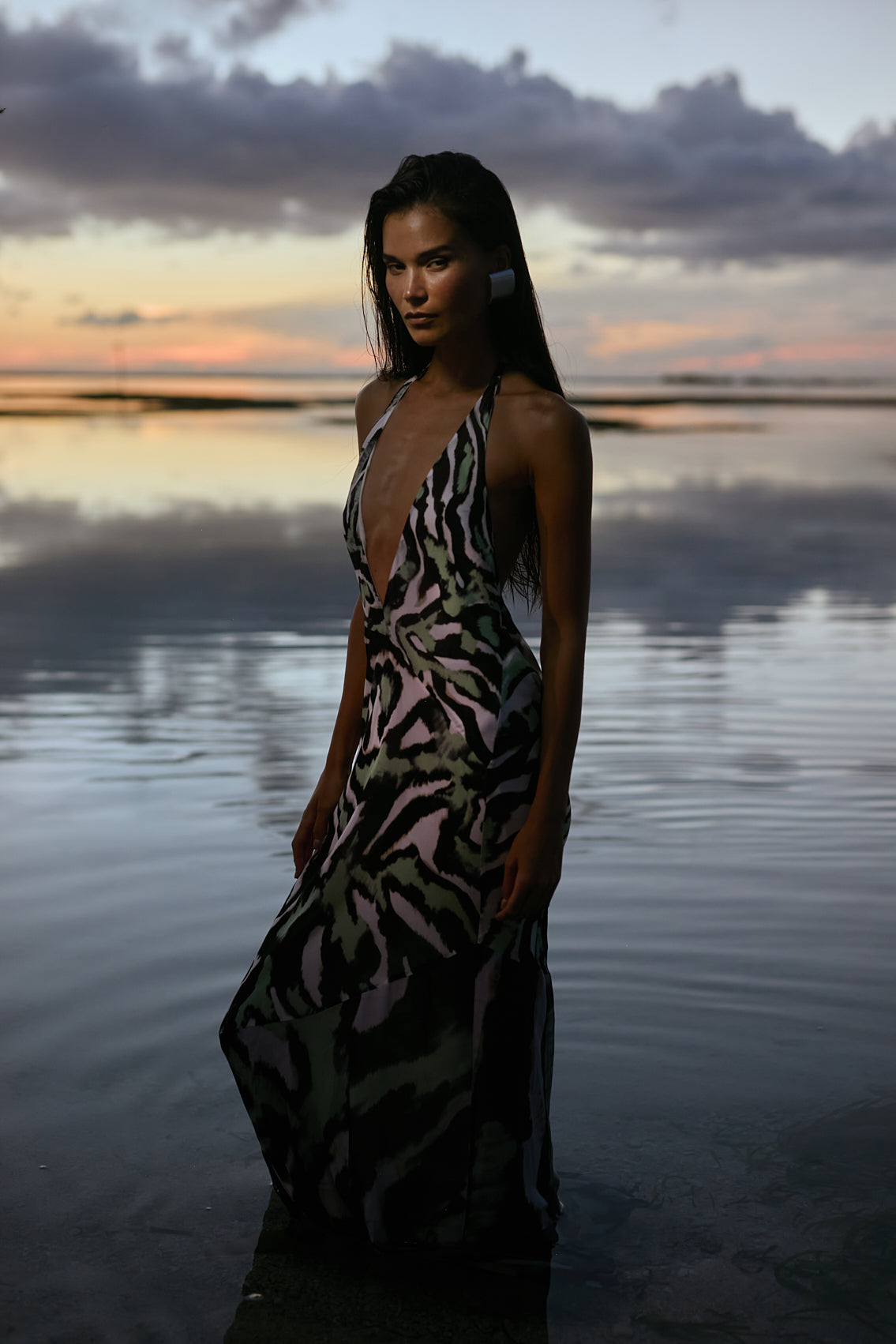 Leni Maxi Dress Zebra