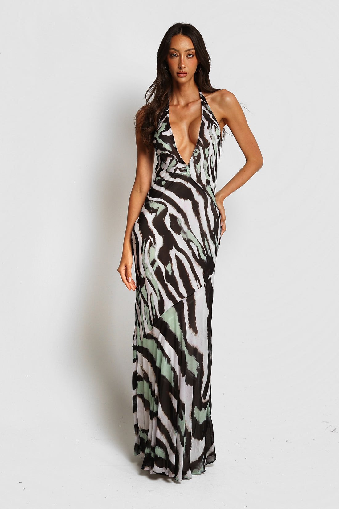 Leni Maxi Dress Zebra