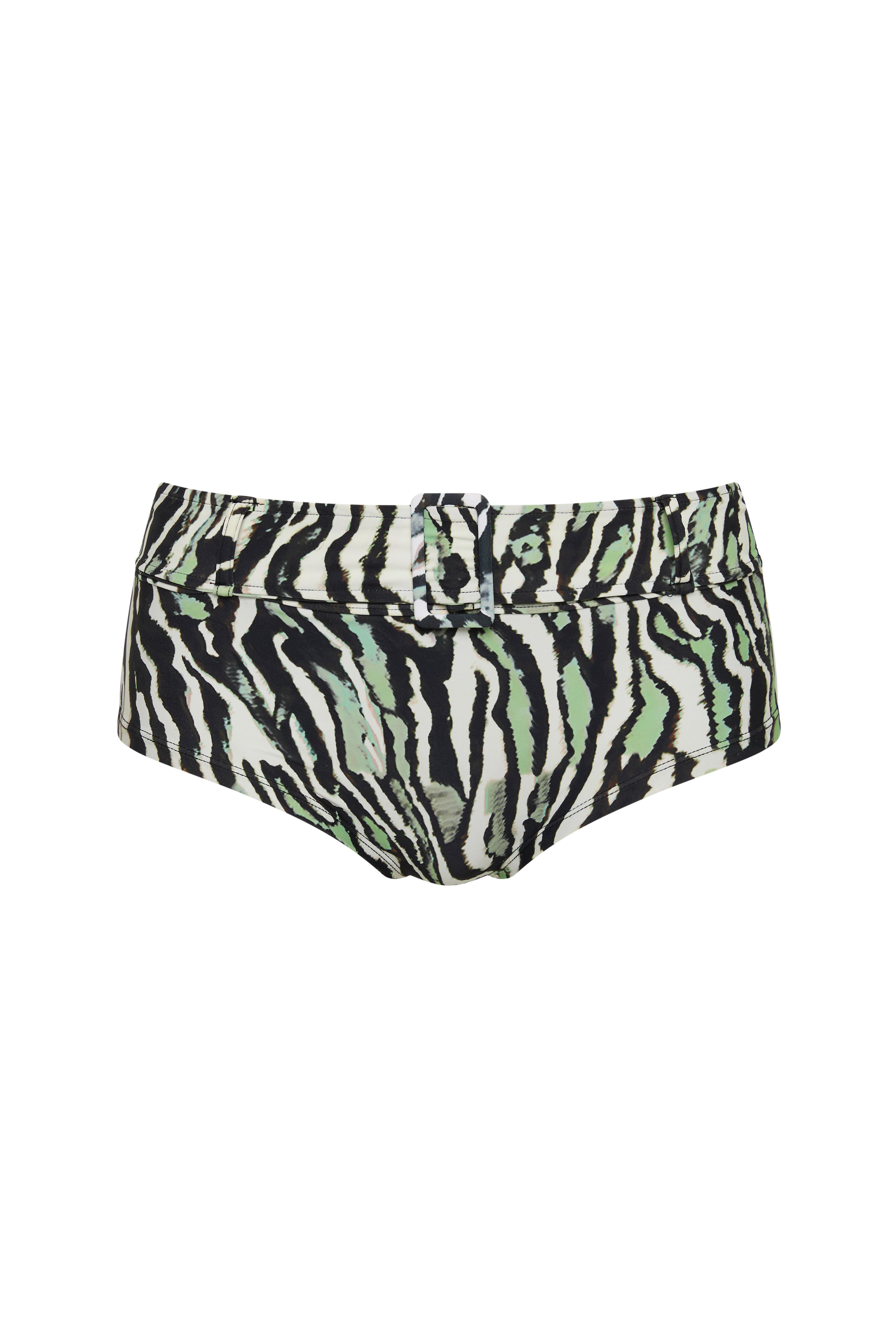 Coco Swim Shorts Zebra